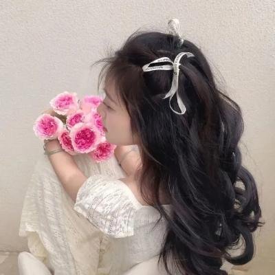 保罗·班扬 封面
