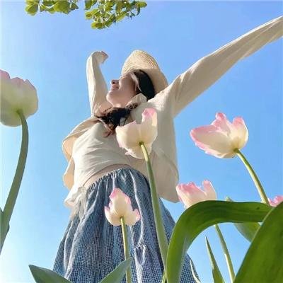 美杜莎无心 封面