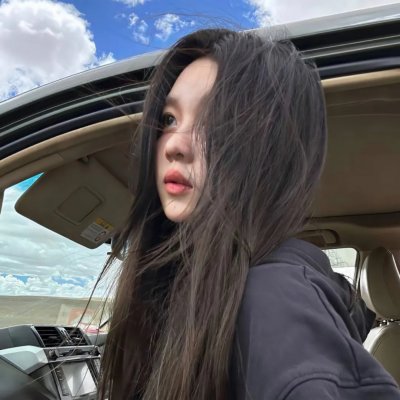 分歧者 封面