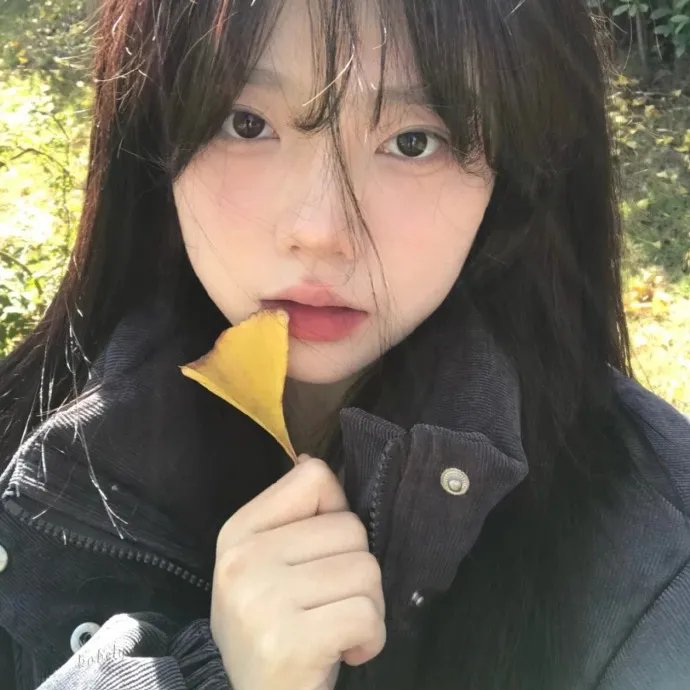 垮掉的一代 封面